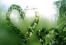 QQ斗地主为啥这么受欢迎？