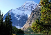 炸金花真的能让人一夜暴富吗？